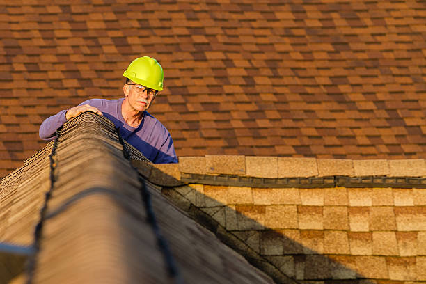 Best Roof Gutter Cleaning  in New Franklin, OH